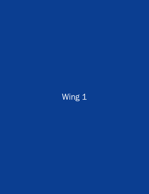 Pre-Primary Wing