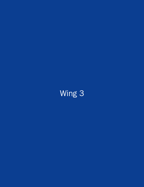 Middle Wing